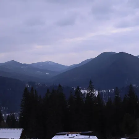 Zillya Club * Tatariv