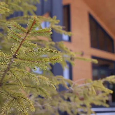 Zillya Club Holiday home *